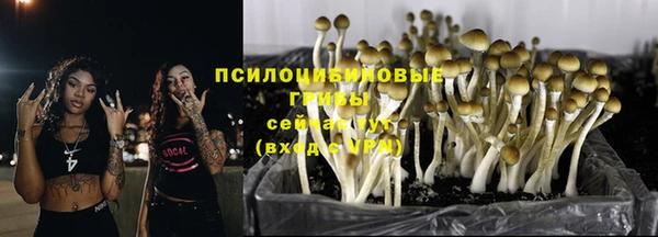 молекула духа Алзамай