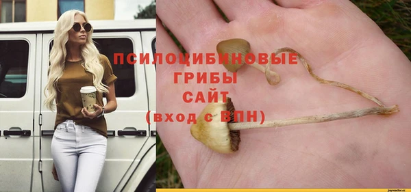 хмурый Алексеевка