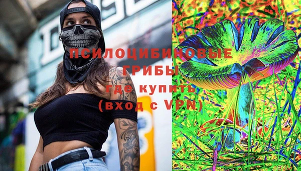 хмурый Алексеевка