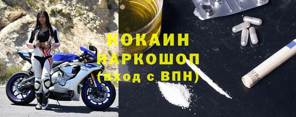 индика Абинск