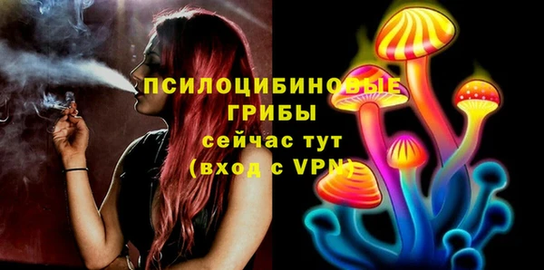 молекула духа Алзамай
