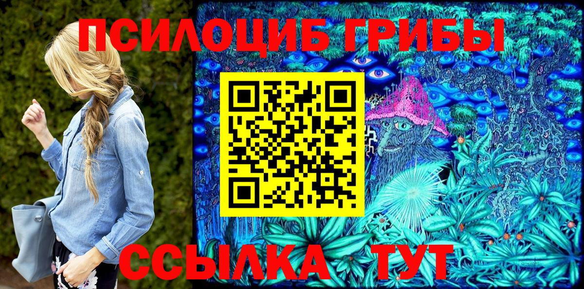 Учалы  Псилоцибиновые грибы Psilocybe  Вход с VPN 
